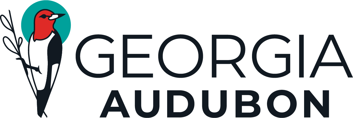 Georgia Audubon 